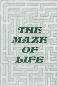 maze of life